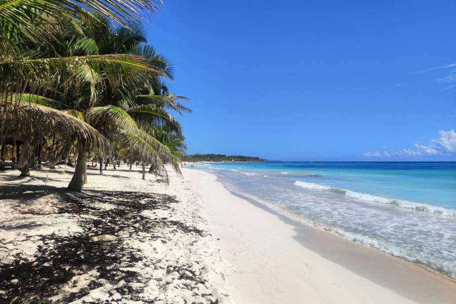 Why Visit Costa Mujeres, MX