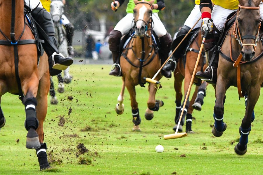 Summer Polo Cup 2025