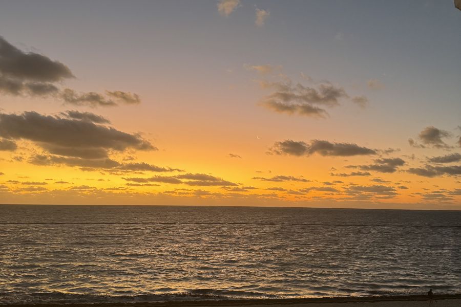 Sargassum Season 2026 in Cancun