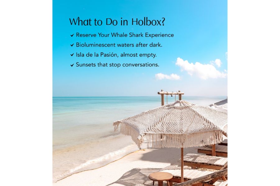What to do on Holbox Island