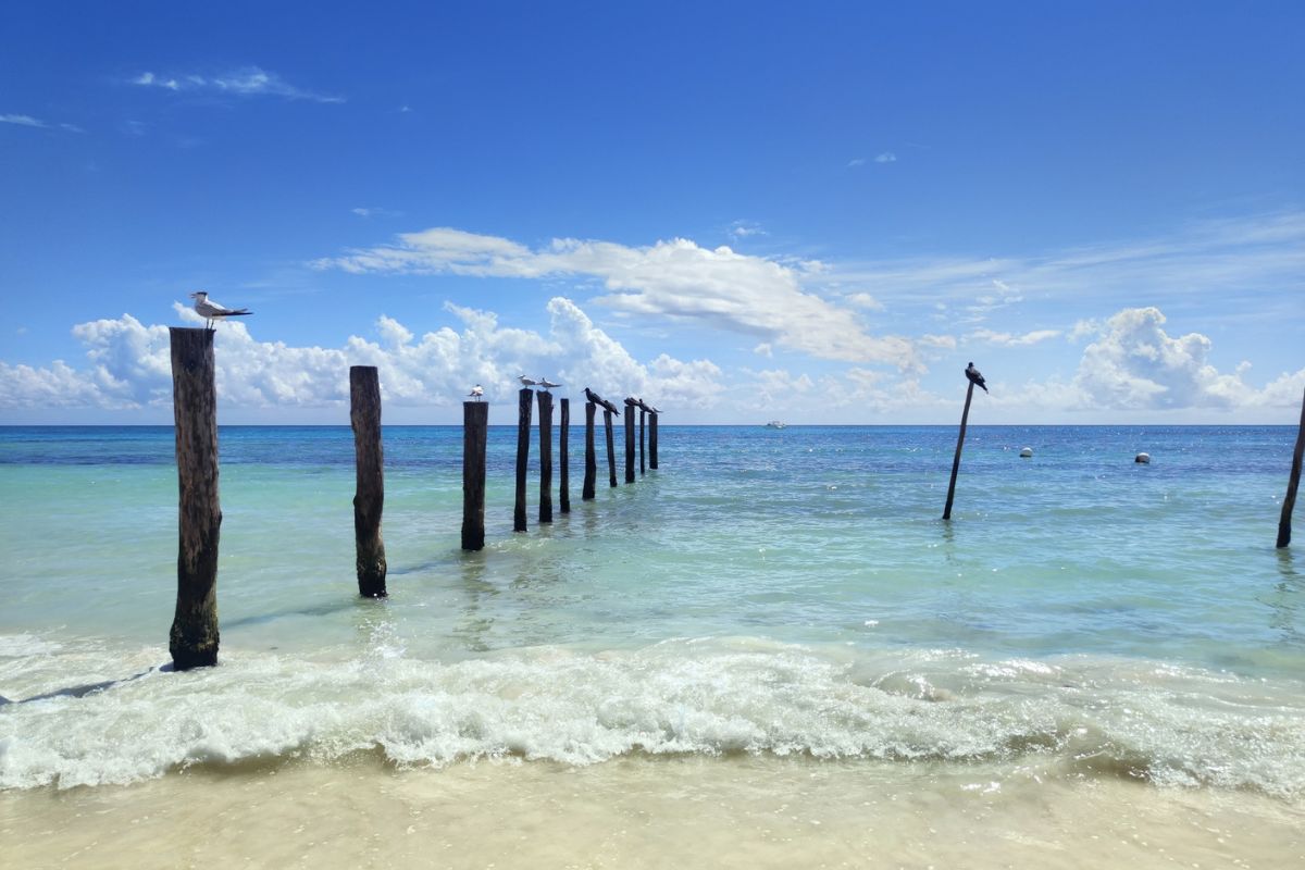 Visit Costa Mujeres